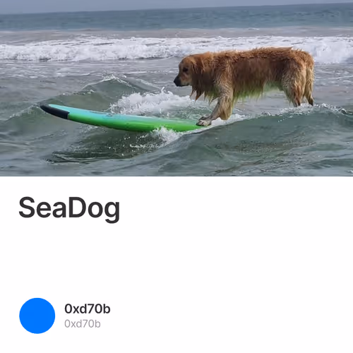 SeaDog