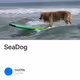 SeaDog