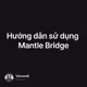 Hướng dẫn sử dụng Mantle Bridge