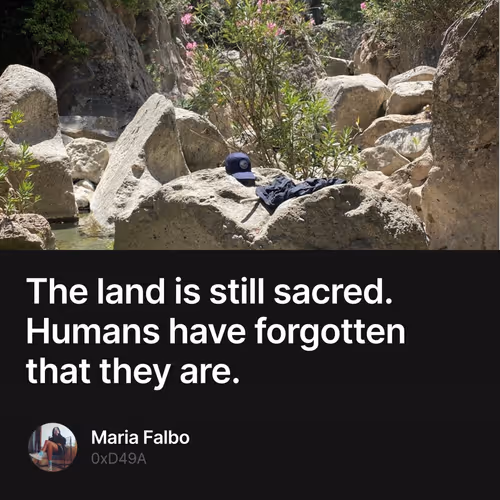 The land is still sacred. Humans have forgotten that they are.