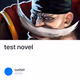 test novel V2