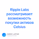 Ripple Labs     Celsius V3