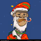 OPTISMAS
