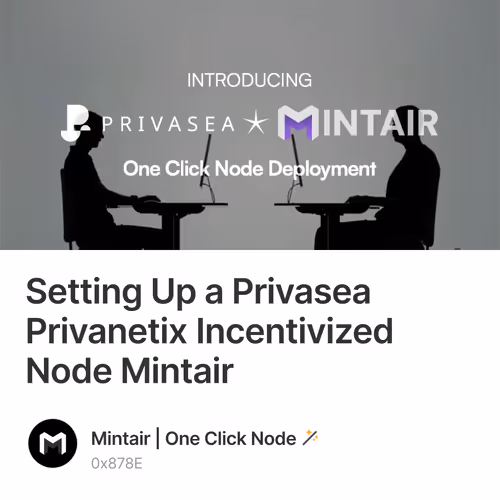 Setting Up a Privasea Privanetix Incentivized Node Mintair