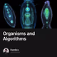 Organisms and Algorithms