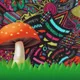 Magic Mushroom