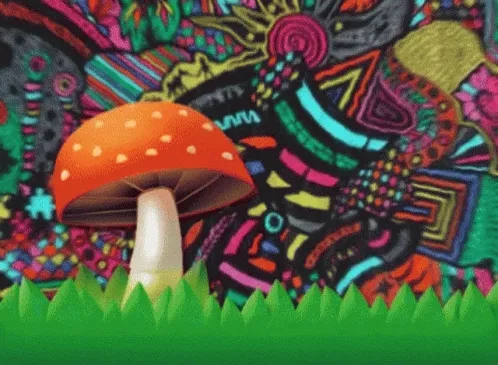 Magic Mushroom