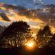 Golden sunset