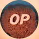 Coral Optimism