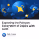 Exploring the Polygon Ecosystem of Dapps With Cielo