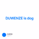 DUWENZE is dog