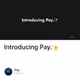 Introducing Pay.✨