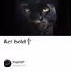 Act bold '|'