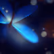 midnightDream