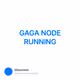 GAGA NODE RUNNING