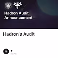 Hadron's Audit