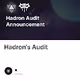 Hadron's Audit