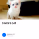 cate