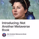 Introducing: Not Another Metaverse Book