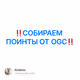 ‼️СОБИРАЕМ ПОИНТЫ ОТ OGC‼️