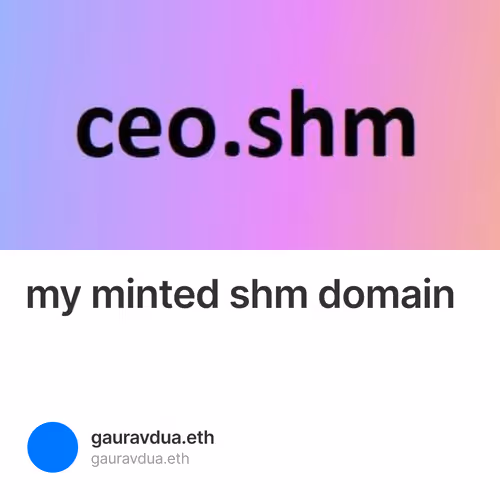 my minted shm domain