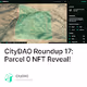 CityDAO Roundup 17 Parcel 0 NFT Reveal