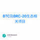 BTC及BRC-20生态相关项目