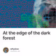 At the edge of the dark forest