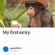 My first entry