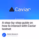 A step-by-step guide on how to interact with Caviar testnet