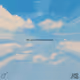 Vivid Fever Dreams - FYLP
