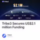 Tribe3 Secures US$2.1 million Funding