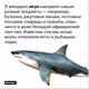 Akula