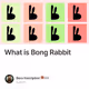 What is Bong Rabbit