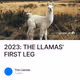2023: THE LLAMAS' FIRST LEG