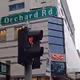 Orchard