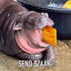 yes