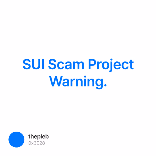 SUI Scam Project Warning.
