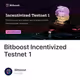 Bitboost Incentivized Testnet 1