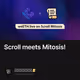 Scroll meets Mitosis!