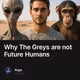 Why The Greys are not Future Humans