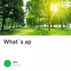 What`s ap