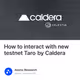 How to interact with new testnet Taro by Caldera
