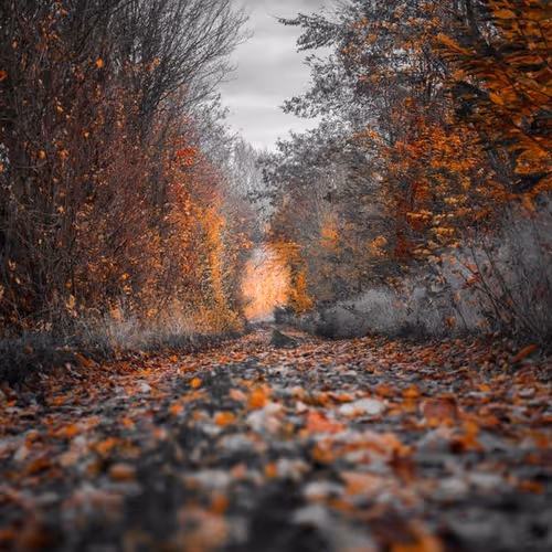 0x70e39db14d21fad5adff941ede9cd8d4cc21157d