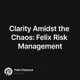 Clarity Amidst the Chaos: Felix Risk Management