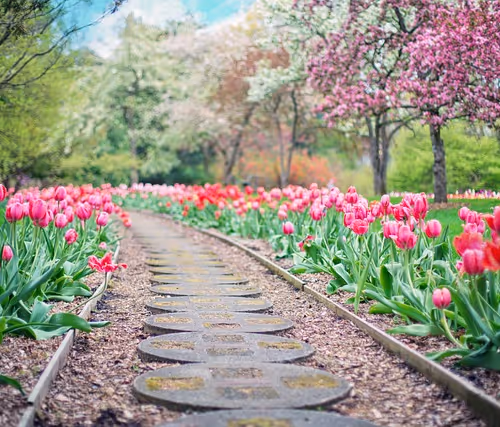 BandBauk