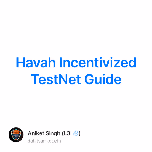 Havah Incentivized TestNet Guide