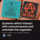 Systems which interact with consciousness and orientate the organism towards accelerated f