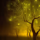 fireflies