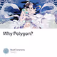 Why Polygon?